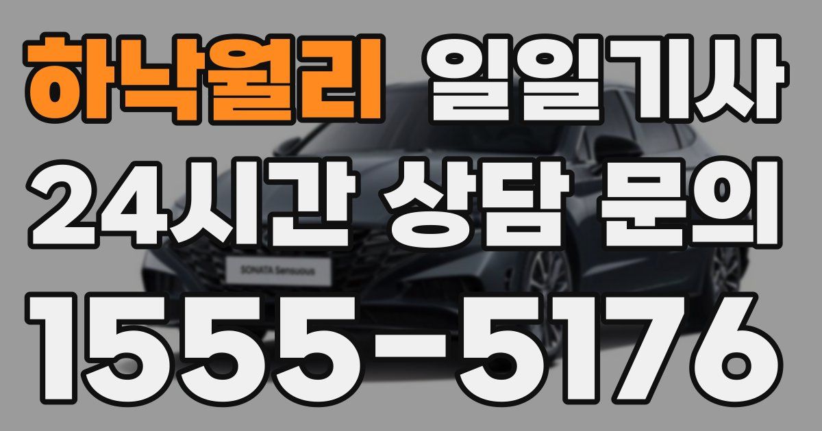 일일대리기사