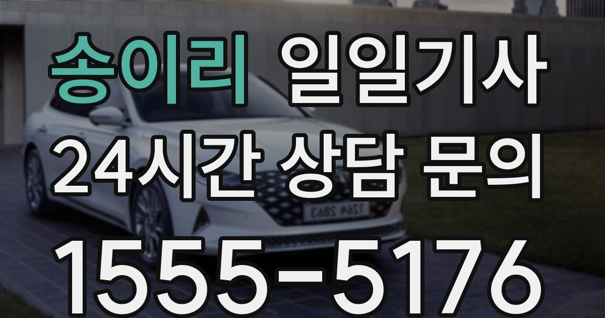 일일대리기사