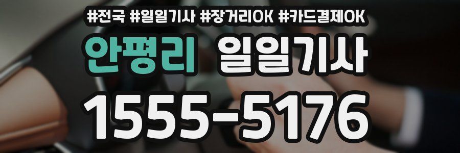 안평리 일일기사