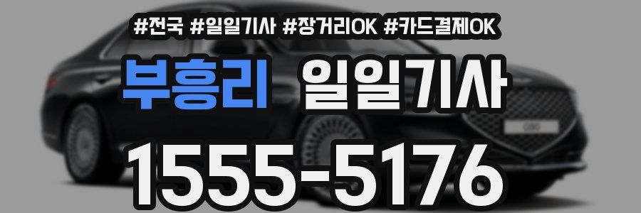 부흥리 일일기사