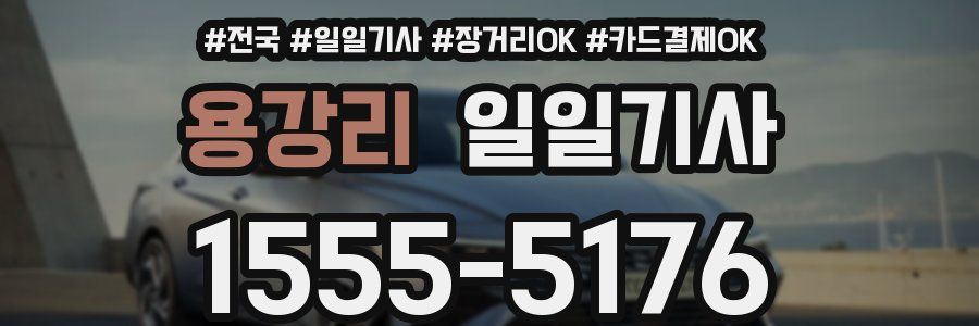 용강리 일일기사