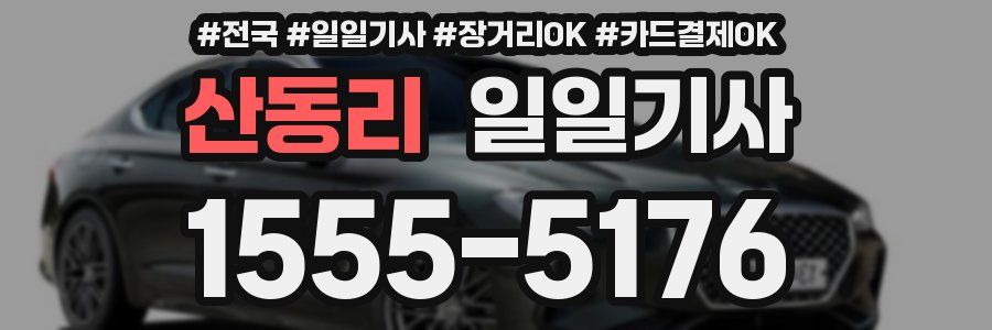 산동리 일일기사