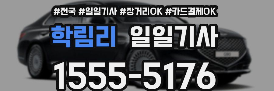 학림리 일일기사