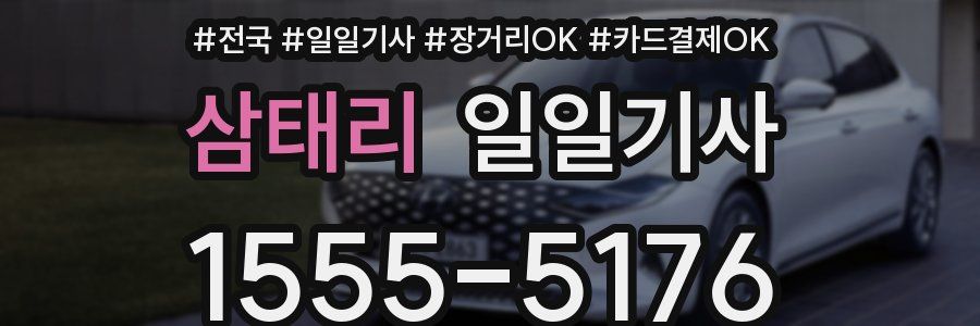 삼태리 일일기사