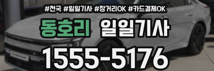 동호리 일일기사