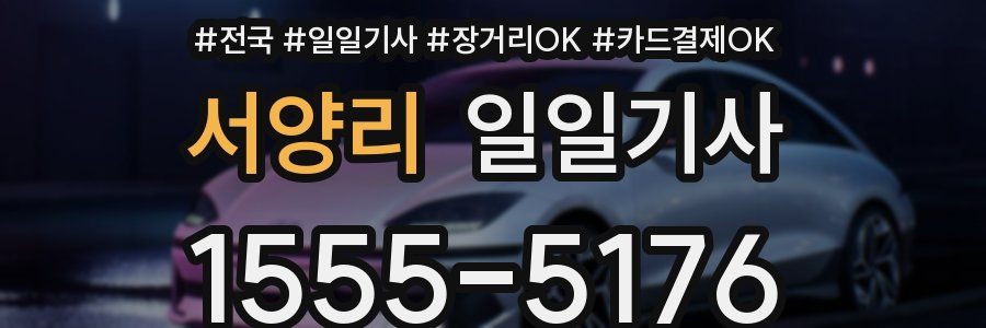 서양리 일일기사