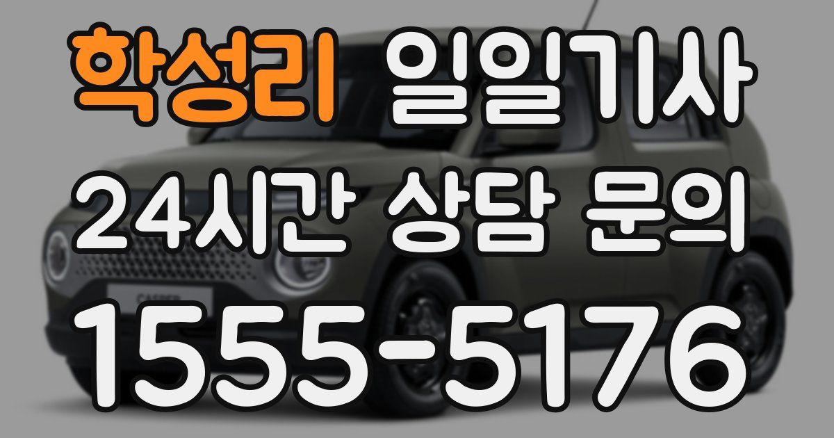 일일대리기사
