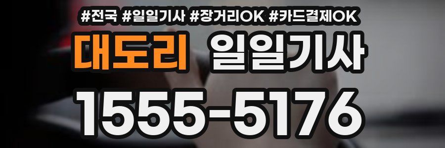 대도리 일일기사