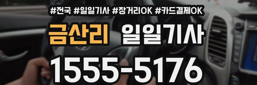 금산리 일일기사