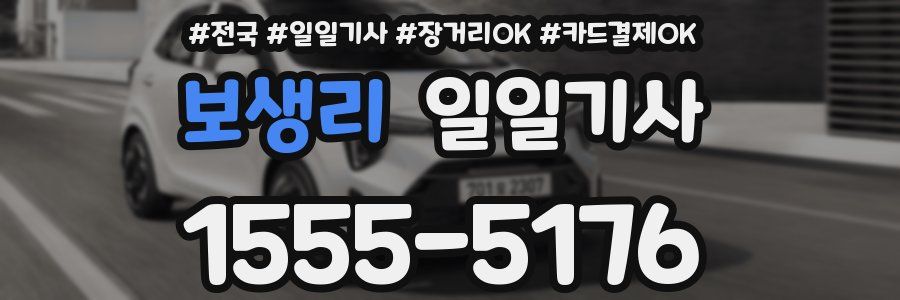 보생리 일일기사