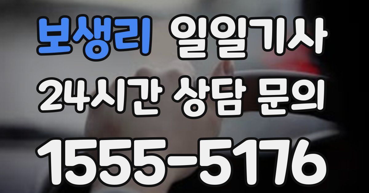 일일대리기사