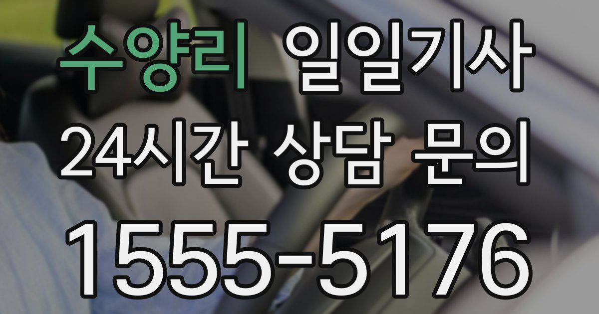 일일대리기사
