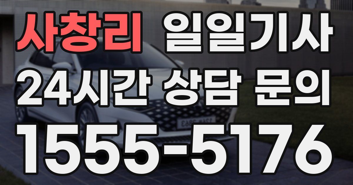 일일대리기사