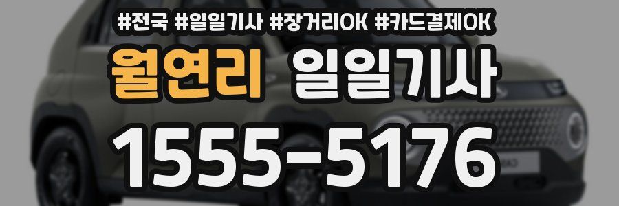 월연리 일일기사