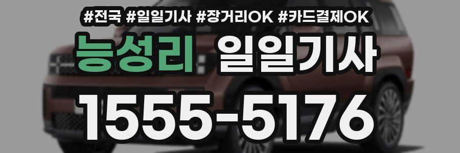 능성리 일일기사