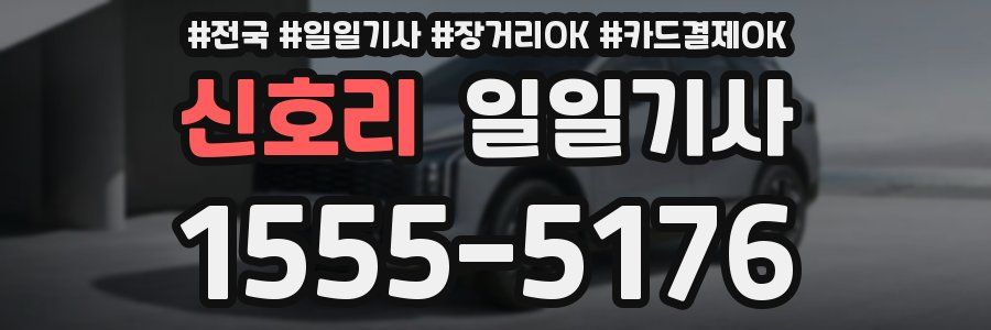 신호리 일일기사