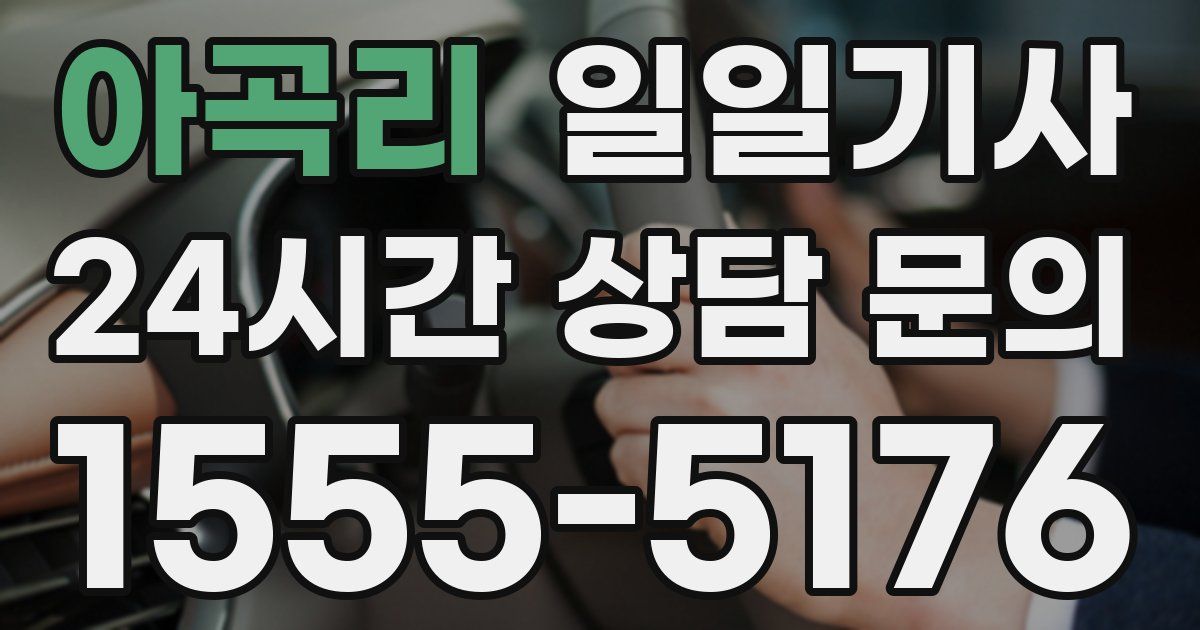 일일대리기사