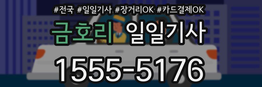 금호리 일일기사