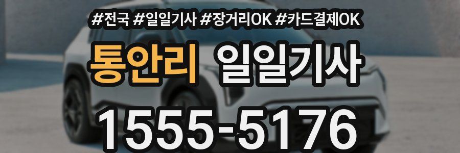 통안리 일일기사