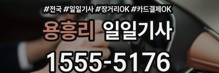 용흥리 일일기사