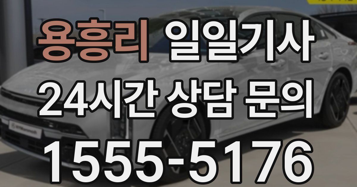 일일대리기사