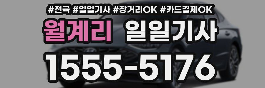 월계리 일일기사