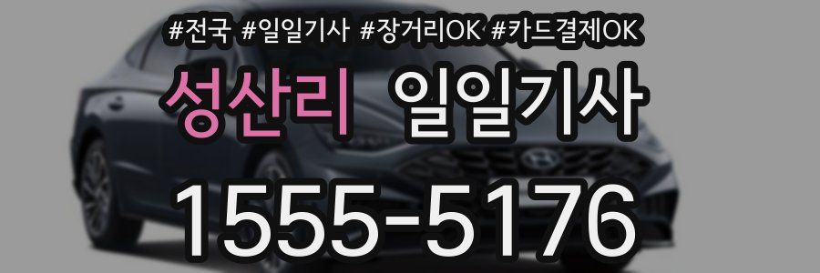 성산리 일일기사