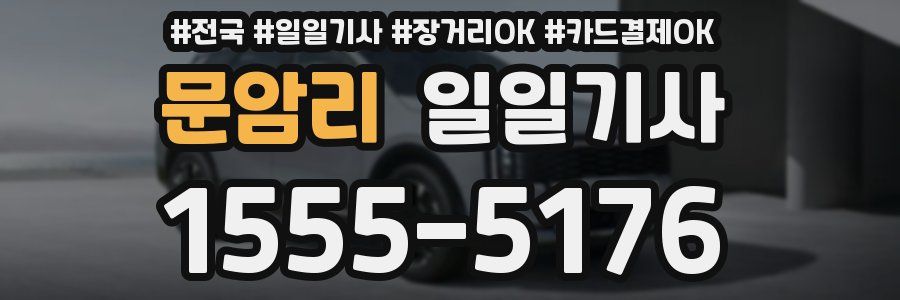 문암리 일일기사