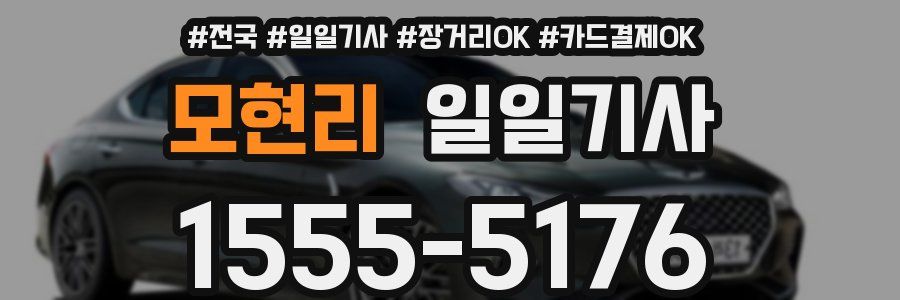 모현리 일일기사