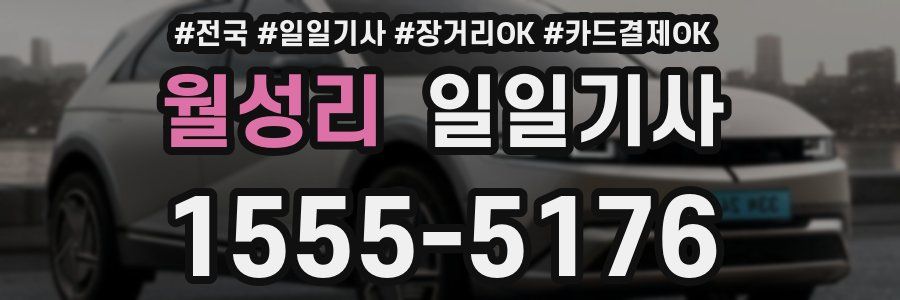 월성리 일일기사