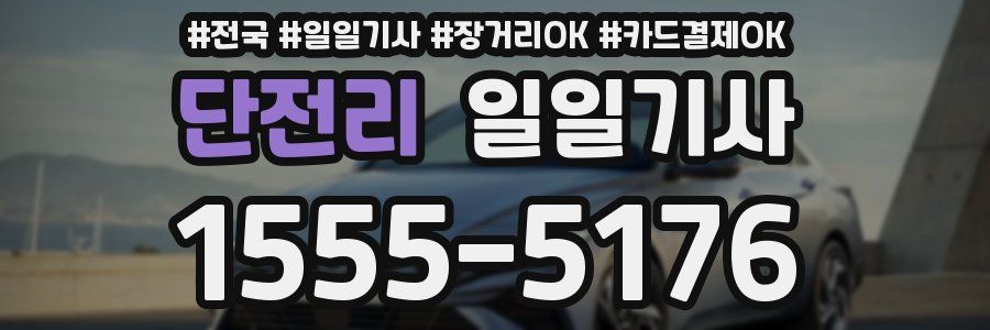 단전리 일일기사