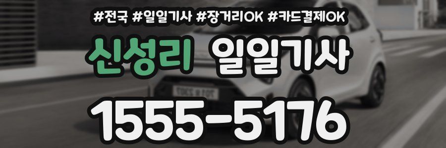 신성리 일일기사