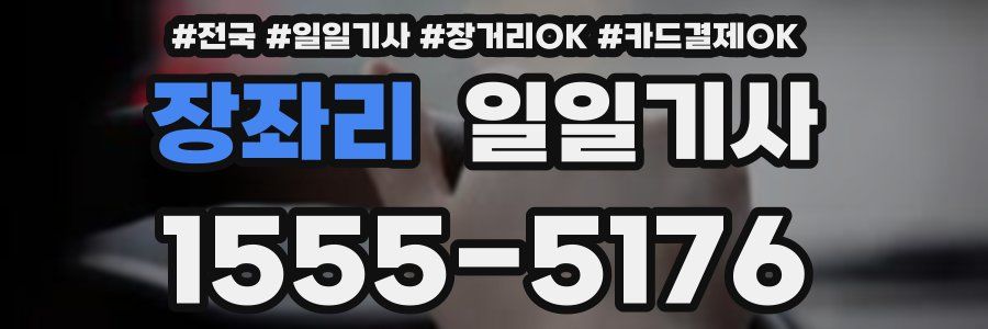 장좌리 일일기사