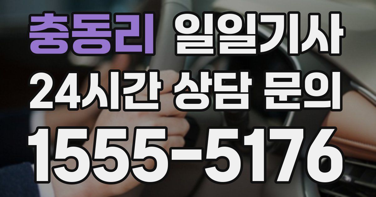 일일대리기사