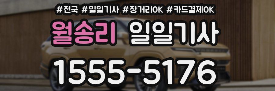 월송리 일일기사