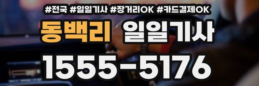 동백리 일일기사