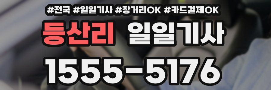 등산리 일일기사