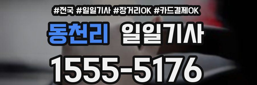 동천리 일일기사