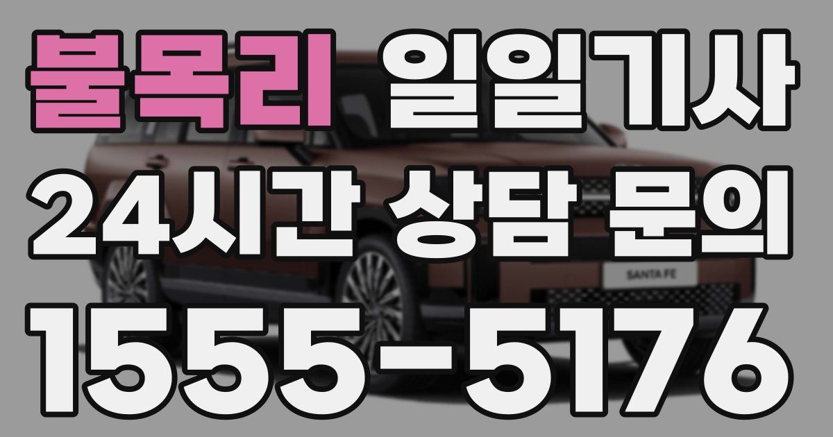 일일대리기사