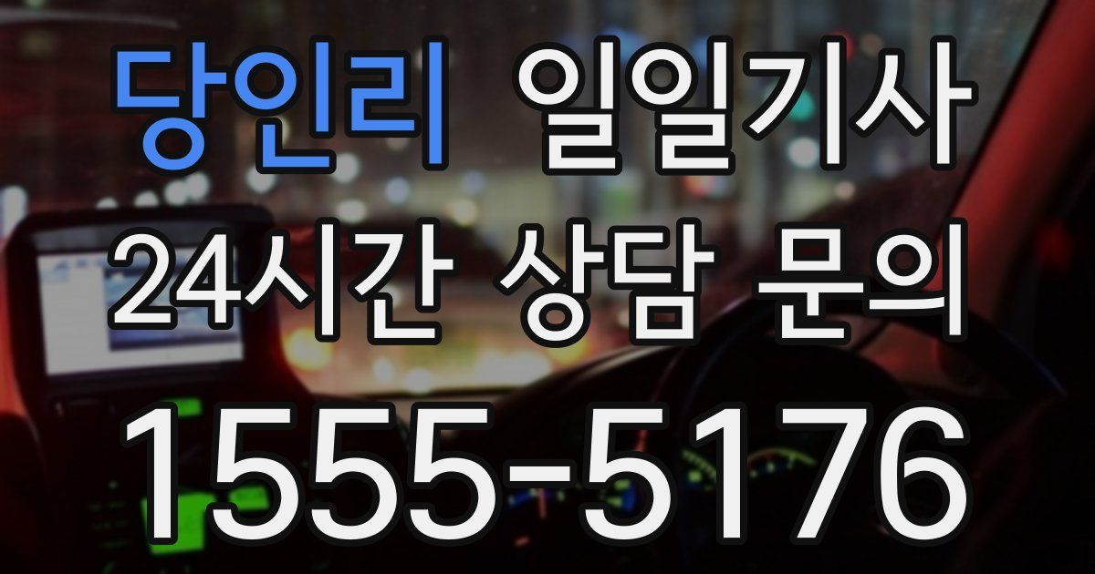 일일대리기사