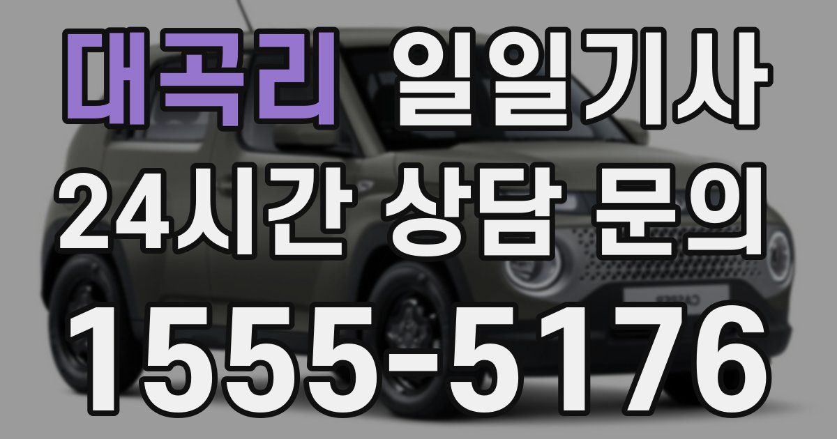 일일대리기사
