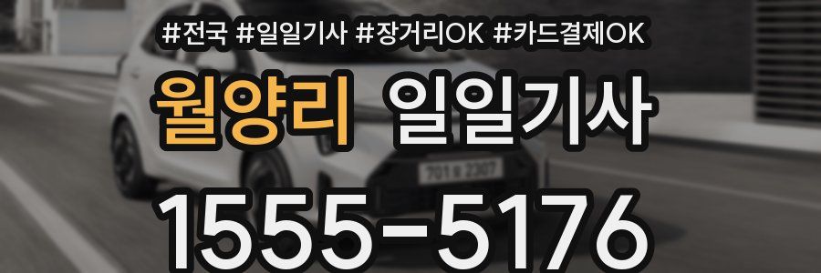 월양리 일일기사