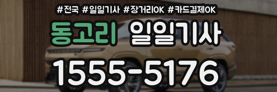 동고리 일일기사