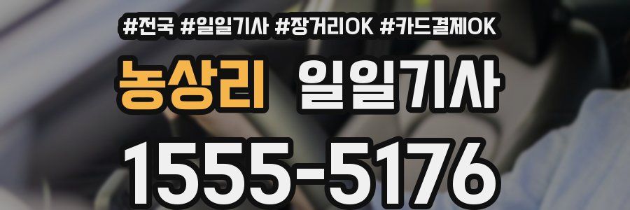 농상리 일일기사