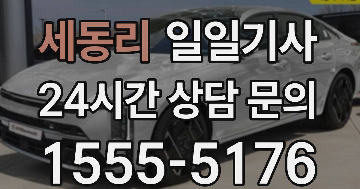 일일대리기사