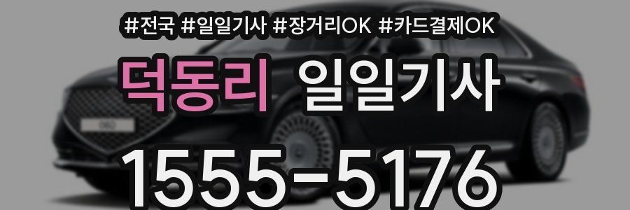 덕동리 일일기사
