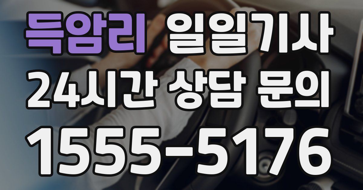 일일대리기사