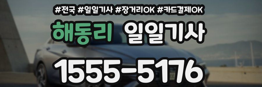 해동리 일일기사