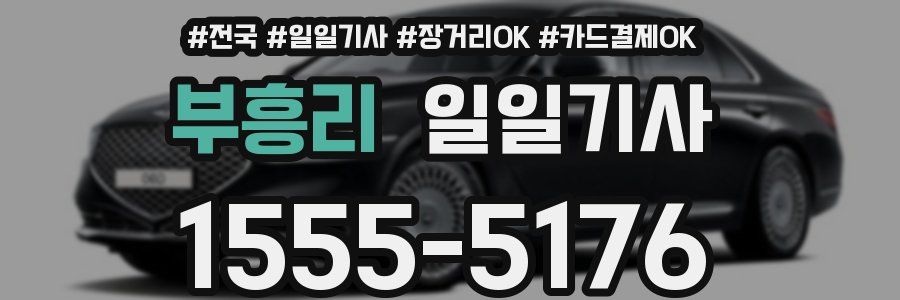 부흥리 일일기사