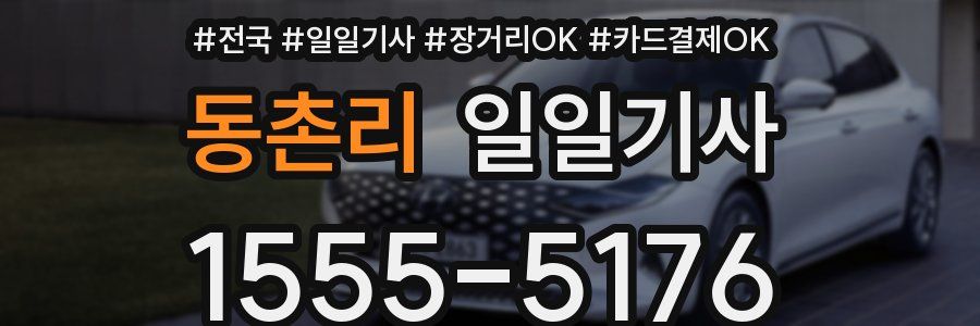 동촌리 일일기사